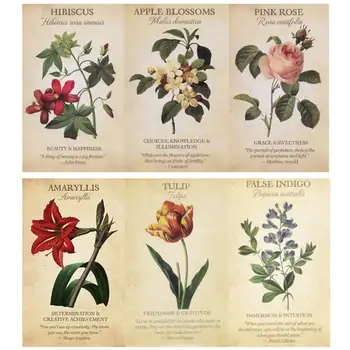 Botanical Inspiration Oracle Cards Tarot Cards English Version Family Holiday Party Playing Cards Deck Tarot Card Board Game Set
Botanical Inspiration Oracle Cards Tarot Cards English Version Family Holiday Party Playing Cards Deck Tarot Card Board Game Set