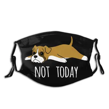Not Today Boxer Dog Reusable Mouth Face Mask Anti Bacterial Dust Protection Cover Respirator Muffle Mask with Filters
Not Today Boxer Dog Reusable Mouth Face Mask Anti Bacterial Dust Protection Cover Respirator Muffle Mask with Filters