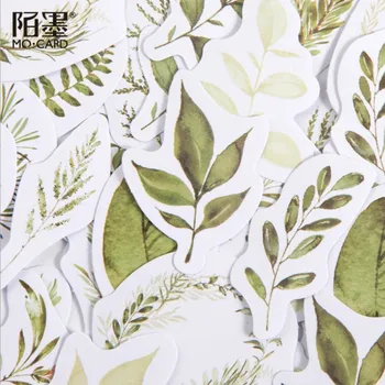 46pcs/Box stickers Green leaves spring Kawaii Stickers Adhesive Cute Decor Scrapbooking Diary Albums 45*45MM
46pcs/Box stickers Green leaves spring Kawaii Stickers Adhesive Cute Decor Scrapbooking Diary Albums 45*45MM