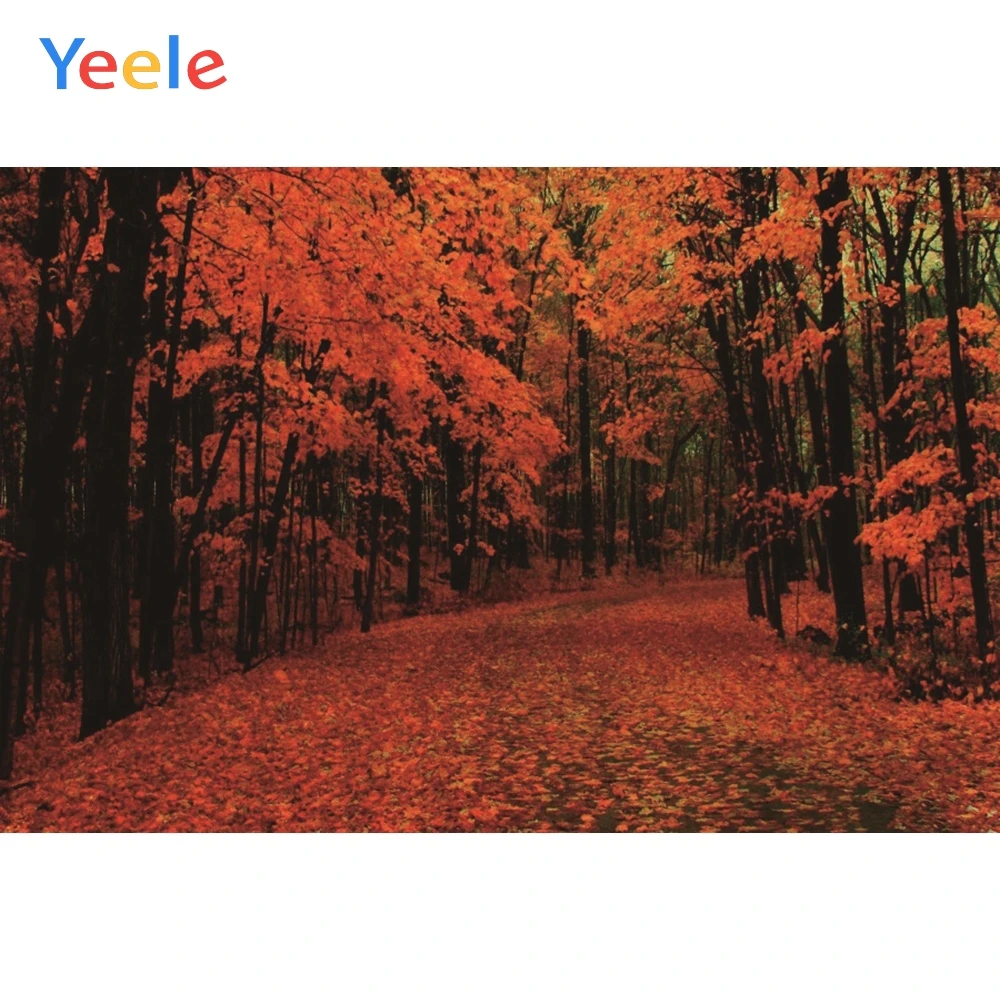 Vinyl Backdrops Autumn Trees Forest Paths Landscape Red Leaves Photography Personalized Photographic Background For Photo Studio
Vinyl Backdrops Autumn Trees Forest Paths Landscape Red Leaves Photography Personalized Photographic Background For Photo Studio