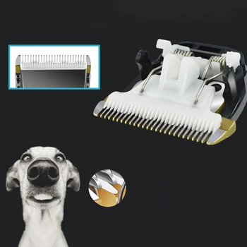 Professional Pet Cat Dog Grooming USB Hair Cutter Trimmer Shaver Cordless Set For Dog Cat Pet Supplies
Professional Pet Cat Dog Grooming USB Hair Cutter Trimmer Shaver Cordless Set For Dog Cat Pet Supplies