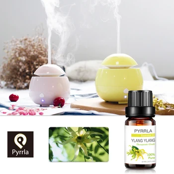 Pyrrla 10ML Pure Essential Oil Massage Humidifier Tea Tree Rose Essential Oil For Diffuser Burner Relax Soothing Beauty
Pyrrla 10ML Pure Essential Oil Massage Humidifier Tea Tree Rose Essential Oil For Diffuser Burner Relax Soothing Beauty