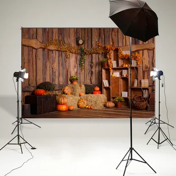 BEIPOTO Autumn interio background photography backdrop for family photo studio pumkins leaves flowers thanksgiving poster B-924
BEIPOTO Autumn interio background photography backdrop for family photo studio pumkins leaves flowers thanksgiving poster B-924