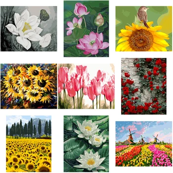 Paint By Number Flower DIY Pictures By Numbers Drawing On Canvas Hand Painted Painting Colorful Flowers Art Gift Kits Home Decor 
Paint By Number Flower DIY Pictures By Numbers Drawing On Canvas Hand Painted Painting Colorful Flowers Art Gift Kits Home Decor