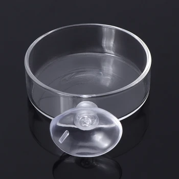 New Arrival Fish Tank Feeder Aquarium Shrimp Glass Feeding Bowl Clear Dish Tray
New Arrival Fish Tank Feeder Aquarium Shrimp Glass Feeding Bowl Clear Dish Tray