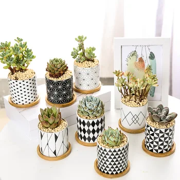 Nordic Geometric Pattern Ceramic Succulent Pot Straight Simple Black and White Home Decoration Succulent Small Potted Plant
Nordic Geometric Pattern Ceramic Succulent Pot Straight Simple Black and White Home Decoration Succulent Small Potted Plant