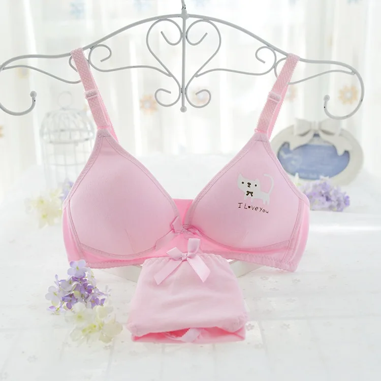 Famli High Quality Teenage Girls Cotton Underwear Bra Set Small Girls Training Bra Cartoon girls underwear 
Famli High Quality Teenage Girls Cotton Underwear Bra Set Small Girls Training Bra Cartoon girls underwear