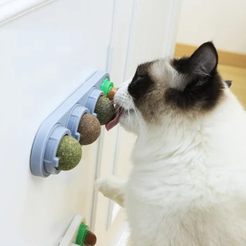 Rotation Cat Catnip Ball Set Rotating Healthy Cat Snacks Teeth Cleaning Toys OCT998
Rotation Cat Catnip Ball Set Rotating Healthy Cat Snacks Teeth Cleaning Toys OCT998