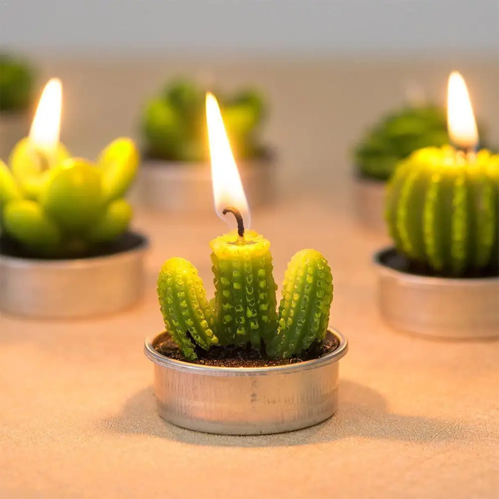 6pcs/set Cute Cactus Candle With Tin Can Handmade Mini Decor Candle Plant Wedding Party Gift Succulent Favors Home Q9S1
6pcs/set Cute Cactus Candle With Tin Can Handmade Mini Decor Candle Plant Wedding Party Gift Succulent Favors Home Q9S1