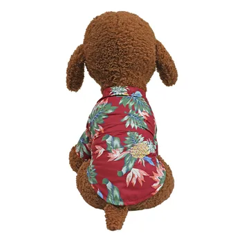 Pet Cat Clothes Clothes Teddy Small Dogs Cat Thin Summer Summer Spring and Autumn Breathable Cute Shirt
Pet Cat Clothes Clothes Teddy Small Dogs Cat Thin Summer Summer Spring and Autumn Breathable Cute Shirt