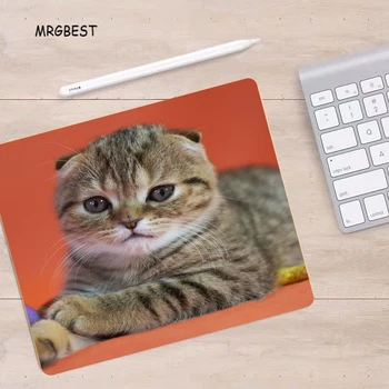 MRGBEST Mouse-pad Small Size Cute Cat Pattern Thermal Transfer Mats Non-slip Rubber Mouse Pad Laptop PC Desk Pads for Children
MRGBEST Mouse-pad Small Size Cute Cat Pattern Thermal Transfer Mats Non-slip Rubber Mouse Pad Laptop PC Desk Pads for Children
