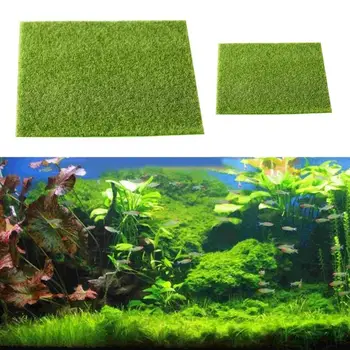 Micro Landscape Artificial Grass Landscape Accessories Aquarium Decor Artificial Lawn Garden Real Moss 30x30 cm
Micro Landscape Artificial Grass Landscape Accessories Aquarium Decor Artificial Lawn Garden Real Moss 30x30 cm