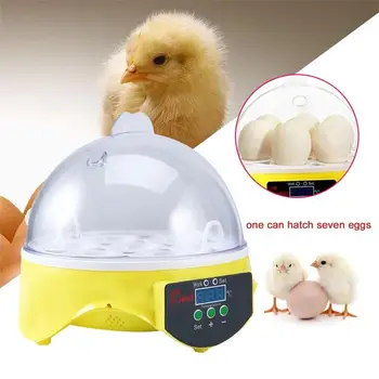Mini Egg Incubator 7 Eggs Capacity Incubator Brood Machine Chicken Duck Egg Hatcher Electronic Automatic Incubator Brooder Tools
Mini Egg Incubator 7 Eggs Capacity Incubator Brood Machine Chicken Duck Egg Hatcher Electronic Automatic Incubator Brooder Tools
