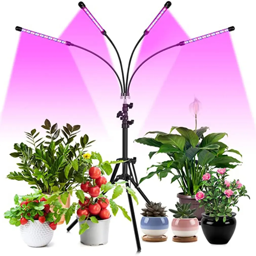 Plant Growth Light With Full Spectrum Bracket Timer 3 Modes 6 Brightness Plant Growth Light Suitable For Indoor Plants
Plant Growth Light With Full Spectrum Bracket Timer 3 Modes 6 Brightness Plant Growth Light Suitable For Indoor Plants