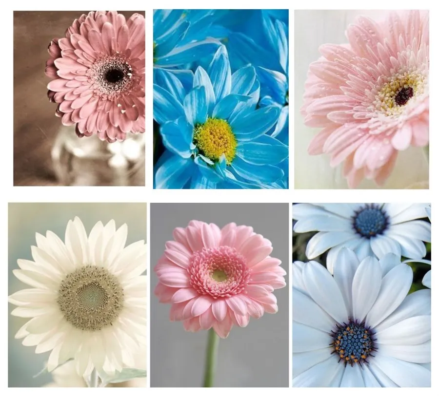5D Diy Diamond Painting "Colored flower landscape" Diamond Pictures Cross Stitch 5D Rhinestone Embroidery Decor
5D Diy Diamond Painting "Colored flower landscape" Diamond Pictures Cross Stitch 5D Rhinestone Embroidery Decor