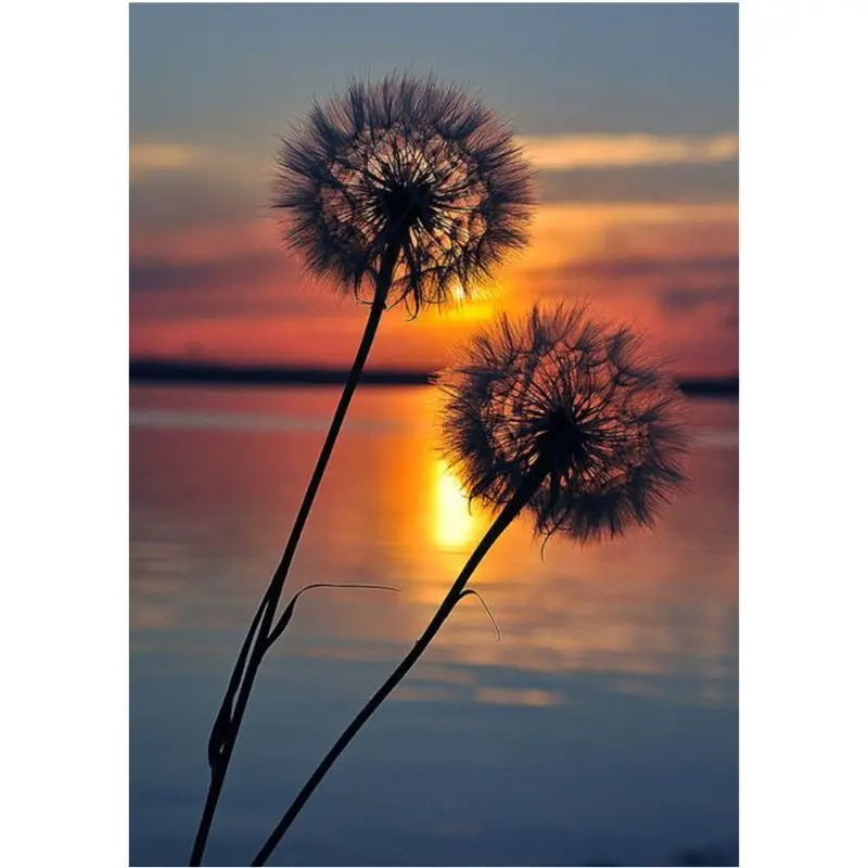 Dandelion Sunrise DIY 5D Full Drill Diamond Painting Embroidery Cross Stitch Kit Rhinestone Home Decor Art Craft Q6PE
Dandelion Sunrise DIY 5D Full Drill Diamond Painting Embroidery Cross Stitch Kit Rhinestone Home Decor Art Craft Q6PE