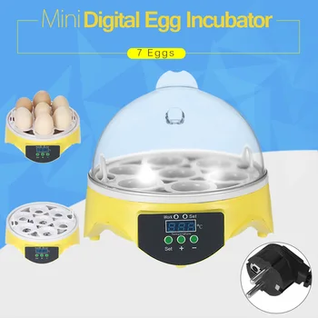 7 Eggs Mini Digital Egg Incubator Hatcher Transparent Eggs Hatching Machine Automatic Temperature Control for Chicken Duck Eggs
7 Eggs Mini Digital Egg Incubator Hatcher Transparent Eggs Hatching Machine Automatic Temperature Control for Chicken Duck Eggs