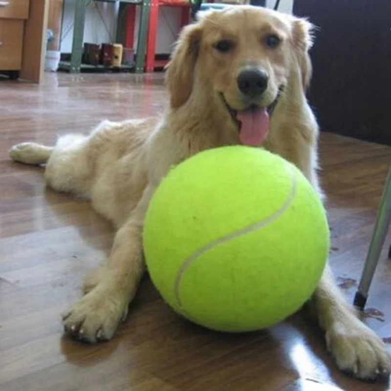 24cm Dog Toys For Large Dogs Play Dog Ball Launcher Inflatable Tennis Ball Thrower Chucker Ball Training Pet Dog Chew Toys
24cm Dog Toys For Large Dogs Play Dog Ball Launcher Inflatable Tennis Ball Thrower Chucker Ball Training Pet Dog Chew Toys