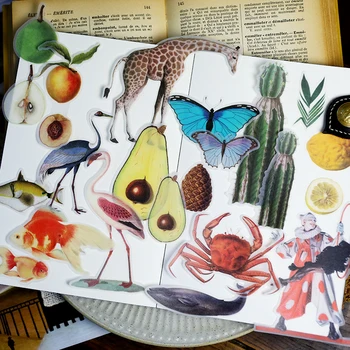 50pcs Life Encyclopedia Vellum Paper Stickers for Scrapbooking Happy Planner/Card Making/Journaling 
50pcs Life Encyclopedia Vellum Paper Stickers for Scrapbooking Happy Planner/Card Making/Journaling