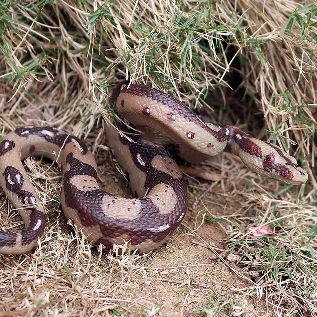 Large Realistic Rubber Snake Novelty Funny Toys Scary Prank Simulation Realistic Snake Black Mamba Toy Small Large Size Kid Toys
Large Realistic Rubber Snake Novelty Funny Toys Scary Prank Simulation Realistic Snake Black Mamba Toy Small Large Size Kid Toys