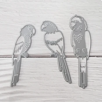 Happymems Decoration 3 parrot Die Cutting Dies Photo Card Making Embellishments For Scrapbooking Birds Cutting Dies
Happymems Decoration 3 parrot Die Cutting Dies Photo Card Making Embellishments For Scrapbooking Birds Cutting Dies