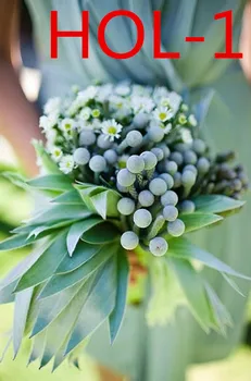 Weddings and important occasions / Wedding accessories / Bridal bouquets HOL
Weddings and important occasions / Wedding accessories / Bridal bouquets HOL