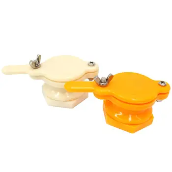 1PCS Durable Nylon Bee Honey Tap Gate Valve Beekeeping Extractor Bottling Honey Gate Honey Extractor Beekeeping Equipment Tool
1PCS Durable Nylon Bee Honey Tap Gate Valve Beekeeping Extractor Bottling Honey Gate Honey Extractor Beekeeping Equipment Tool
