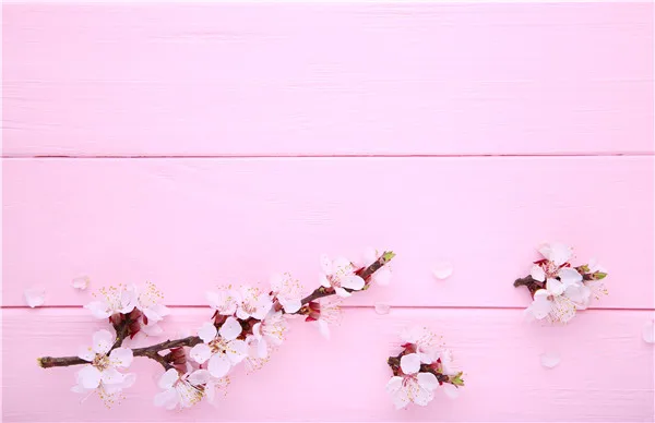 SHENGYONGBAO Art Fabric Custom Photography Backdrops Props Flower and Wood Planks theme Photo Studio Background 20212-23
SHENGYONGBAO Art Fabric Custom Photography Backdrops Props Flower and Wood Planks theme Photo Studio Background 20212-23