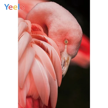Yeele Wall Decor Photocall Flamingo Wild Painting Photography Backdrops Personalized Photographic Backgrounds For Photo Studio
Yeele Wall Decor Photocall Flamingo Wild Painting Photography Backdrops Personalized Photographic Backgrounds For Photo Studio