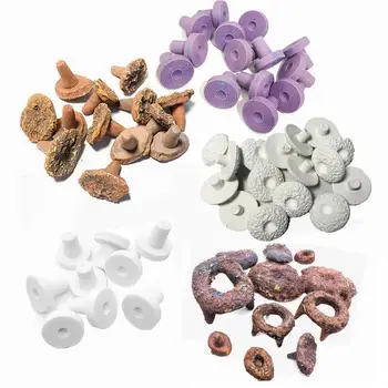 DW Aquarium 50pcs/Lot Special Purple CERAMIC Nano-Tech Bio-Plug CORAL FRAG PLUGS FOR YOUR CORAL FAST PROPOGATION
DW Aquarium 50pcs/Lot Special Purple CERAMIC Nano-Tech Bio-Plug CORAL FRAG PLUGS FOR YOUR CORAL FAST PROPOGATION