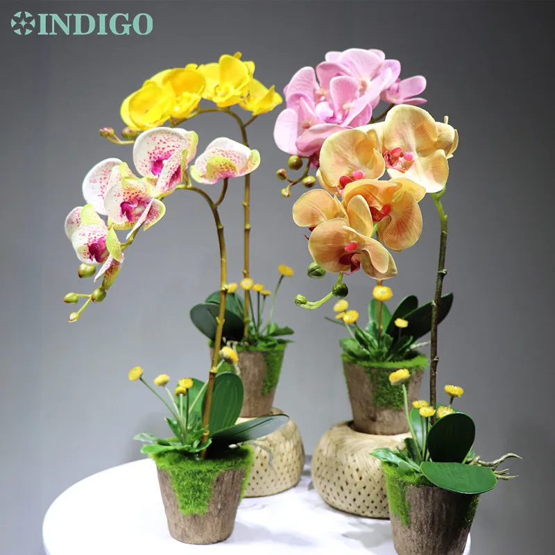 INDIGO Designed- Butterfly Orchid Bonsai Flower Arrangment With Pot Real Touch Flower Office Home Decoration Free Shipping
INDIGO Designed- Butterfly Orchid Bonsai Flower Arrangment With Pot Real Touch Flower Office Home Decoration Free Shipping