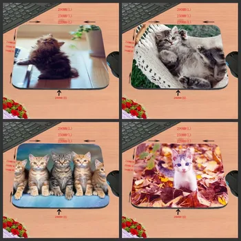 Fashion Customized Support Cute Cat Gaming Rubber Mouse Pad Aming Ear Anti-Slip Durable Mat for PC Optal Mause
Fashion Customized Support Cute Cat Gaming Rubber Mouse Pad Aming Ear Anti-Slip Durable Mat for PC Optal Mause