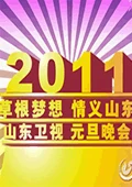 山东卫视2011元旦晚会