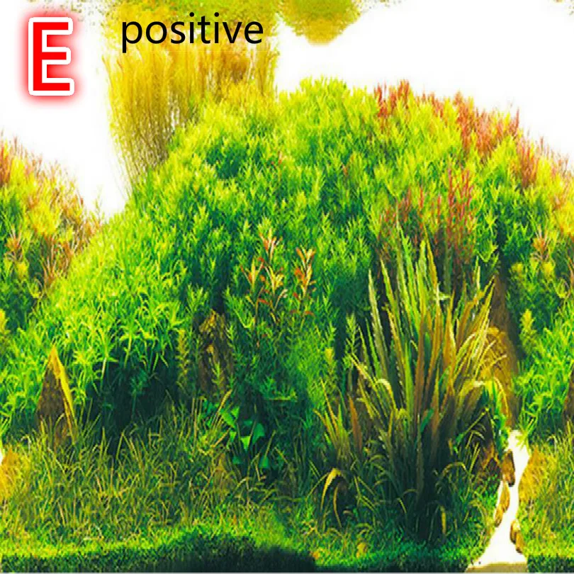 E1