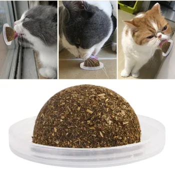 New Cat Toys Catnip Ball Pet Cat Grass Ball To Hair Ball Wholesale Natural Wild Catnip Ball Cat Supplies Cat Teeth Cleaning Toys
New Cat Toys Catnip Ball Pet Cat Grass Ball To Hair Ball Wholesale Natural Wild Catnip Ball Cat Supplies Cat Teeth Cleaning Toys