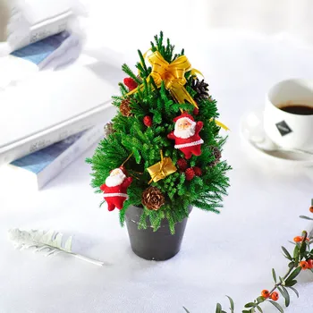Preserved Dried Flowers Artificial Christmas Tree Decoration Greenery Plants Bonsai Potted Ornaments Wedding Party Home Garden
Preserved Dried Flowers Artificial Christmas Tree Decoration Greenery Plants Bonsai Potted Ornaments Wedding Party Home Garden