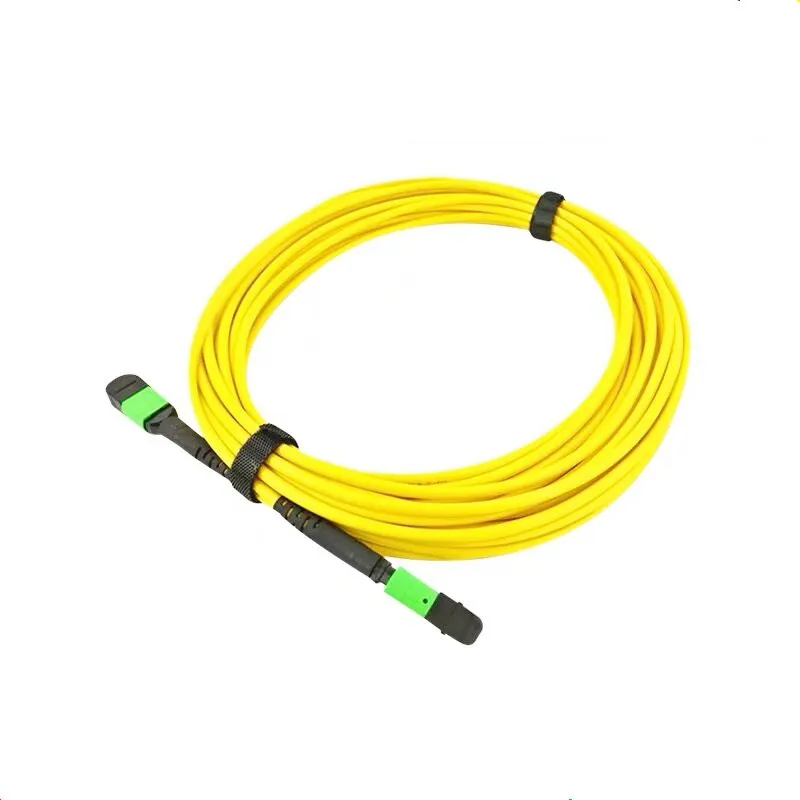 MTP MPO Fiber Patch Cable APC UPC jumper Female to Female 12 Cores SM Patch Cord Single Mode Trunk Cable
MTP MPO Fiber Patch Cable APC UPC jumper Female to Female 12 Cores SM Patch Cord Single Mode Trunk Cable