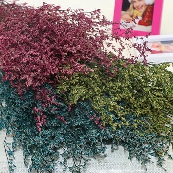 Eternal qing ren cao Dried Flowers Bouquet Gift Box pei cai Manual Raw Materials Wholesale
Eternal qing ren cao Dried Flowers Bouquet Gift Box pei cai Manual Raw Materials Wholesale