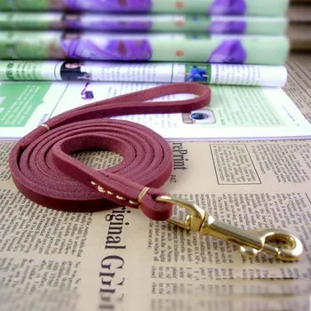 Papipet Leather Dog Rope for Small and Medium Dog Chain Teddy Dog Rope Leather Leash Traction Rope Pet Accessories
Papipet Leather Dog Rope for Small and Medium Dog Chain Teddy Dog Rope Leather Leash Traction Rope Pet Accessories