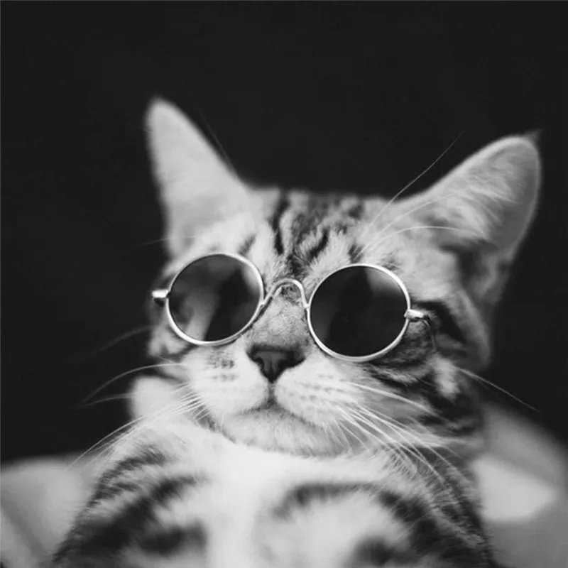 1PCS Small Pet Cat Glasses perro acesorios gatos dla psa products for Dog cat Colorful Sunglasses accessories Photos supplies 1PCS Small Pet Cat Glasses perro acesorios gatos dla psa products for Dog cat Colorful Sunglasses accessories Photos supplies