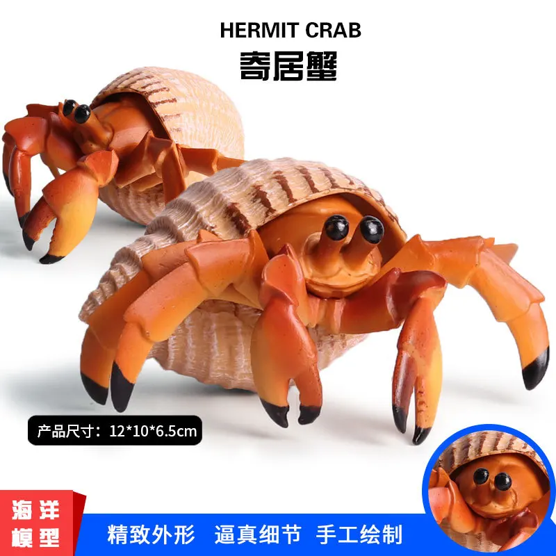 Children Model Solid Oceans World Biological Model Seabed Animal Hermit Crab Oceans Crab Toy Garage Kit Decoration
Children Model Solid Oceans World Biological Model Seabed Animal Hermit Crab Oceans Crab Toy Garage Kit Decoration