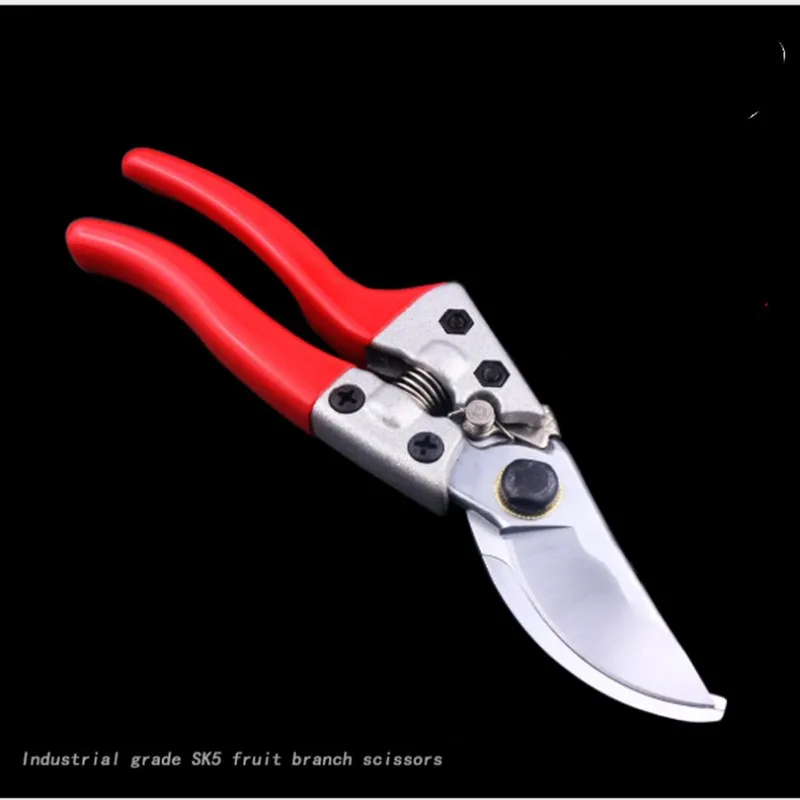 SK5 Fruit Shears Gardening Shears Pruning Branches Pruning Scissors Hand Scissors Garden Scissors Labor Saving Rough Branches
SK5 Fruit Shears Gardening Shears Pruning Branches Pruning Scissors Hand Scissors Garden Scissors Labor Saving Rough Branches