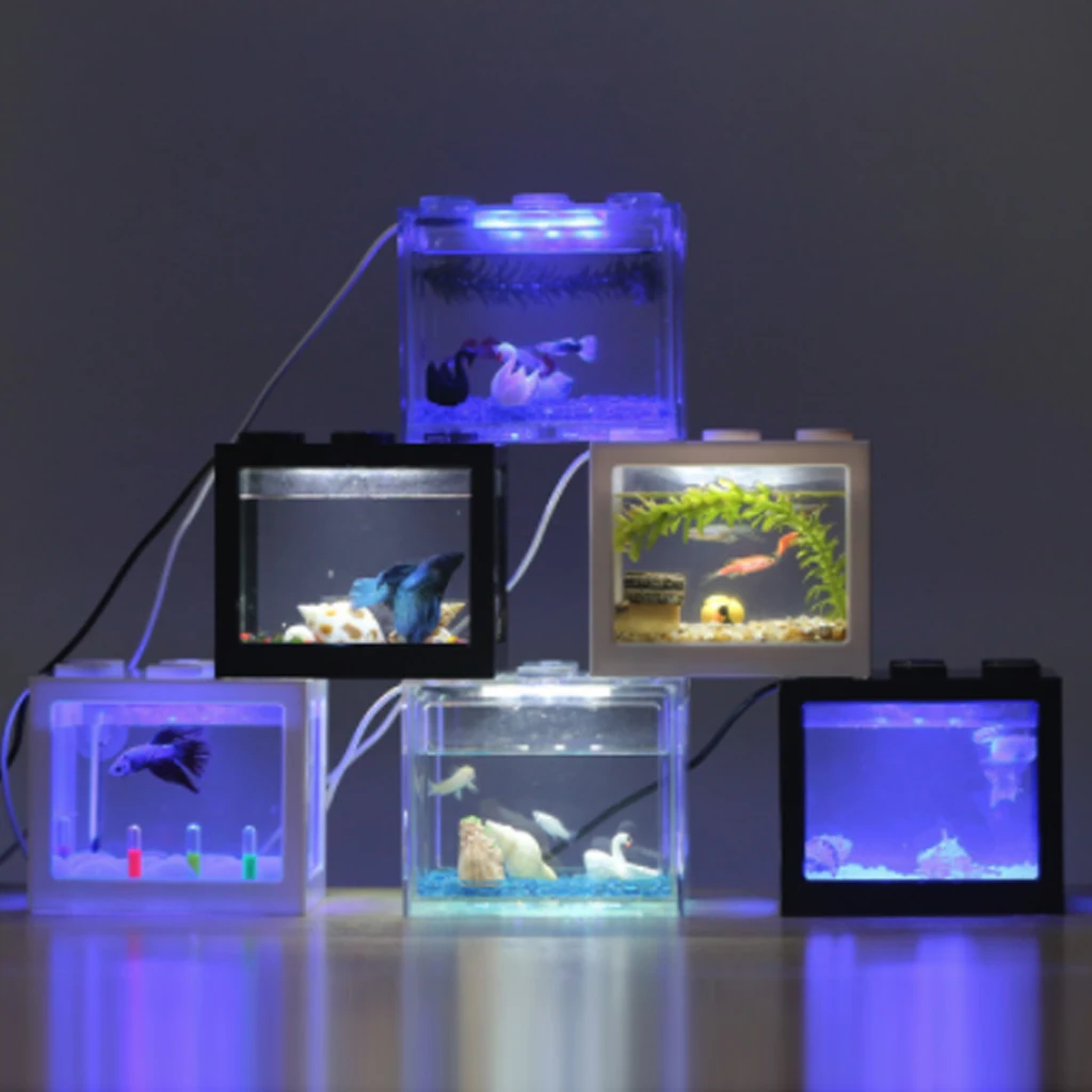 Betta fish Fighting Cylinder Rumble Fish Cylinder Mini Aquarium Building block fish tank
Betta fish Fighting Cylinder Rumble Fish Cylinder Mini Aquarium Building block fish tank