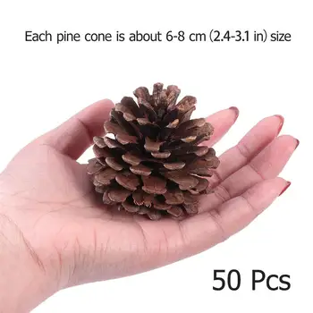 50pcs 6-8cm Christmas Pine Cones Pinecone Decor Xmas Tree Decoration Crafts Home Kitchen Winter Decor Table Showcase Ornaments
50pcs 6-8cm Christmas Pine Cones Pinecone Decor Xmas Tree Decoration Crafts Home Kitchen Winter Decor Table Showcase Ornaments