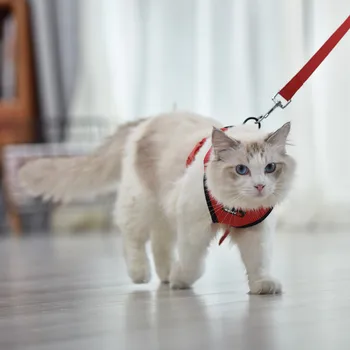 Reflective Pet Cat Harness Nylon Mesh Kitten Puppy Dogs Harness Vest For Small Dog And Cat Adjustable Breathable Harness S-XL
Reflective Pet Cat Harness Nylon Mesh Kitten Puppy Dogs Harness Vest For Small Dog And Cat Adjustable Breathable Harness S-XL