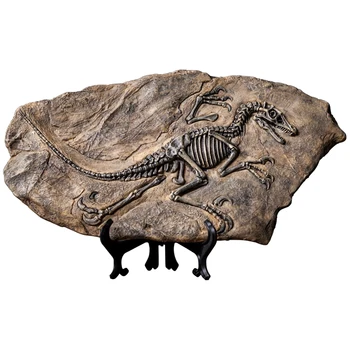 Creative retro dinosaur bone specimen fossil ornaments bookcase bookshelf cabinet study wine cabinets small ornaments American
Creative retro dinosaur bone specimen fossil ornaments bookcase bookshelf cabinet study wine cabinets small ornaments American