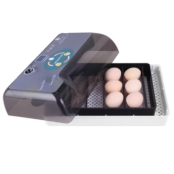 Automatic Farm Hatchery Egg Incubator Chicken Eggs Hatching 12 Eggs Small Household for Poultry Chicken Bird Quail
Automatic Farm Hatchery Egg Incubator Chicken Eggs Hatching 12 Eggs Small Household for Poultry Chicken Bird Quail