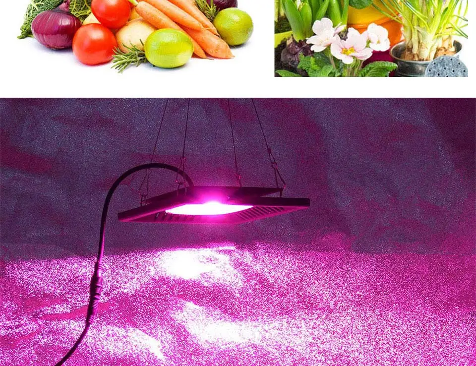Driverless Smart IC AC 110V 220V Full Spectrum COB LED Light Chip for Floodlights Plant Grow Lamp 20W 30W 50W LED Bulb 60x40mm (19)