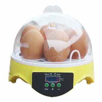 Seven is installed 7 egg Electronic micro incubator Tools Digital Temperature bird hatching machine semi-automatic
Seven is installed 7 egg Electronic micro incubator Tools Digital Temperature bird hatching machine semi-automatic