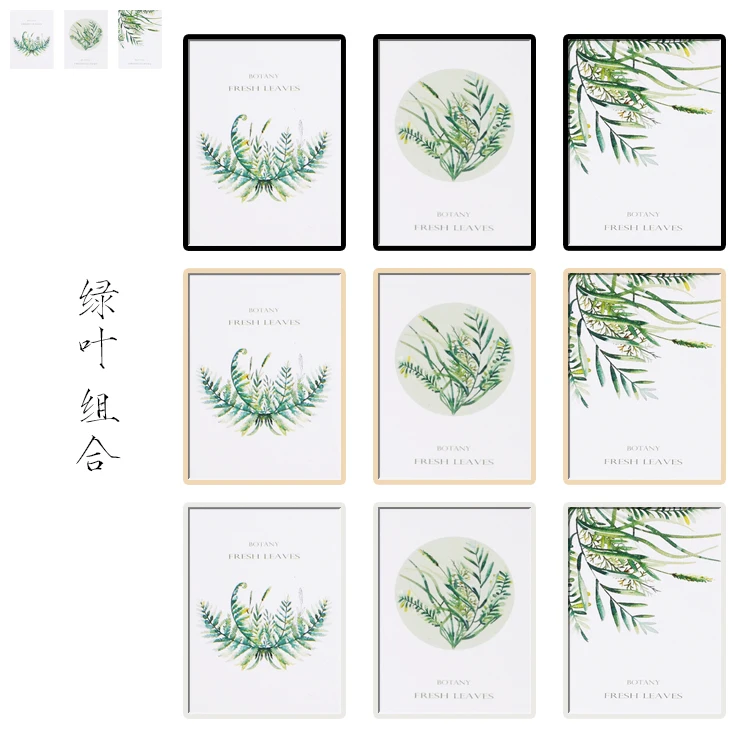 新相纸-绿叶